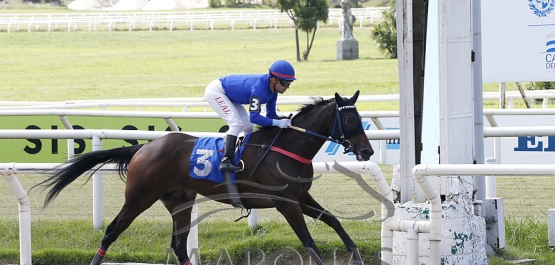 Sábado 1° de abril de 2023 - Hipódromo Nacional de Maroñas