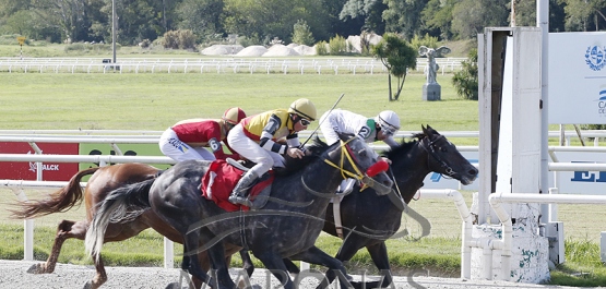 Domingo 2 de abril de 2023 - Hipódromo Nacional de Maroñas