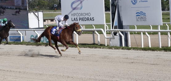 GRAN PREMIO ESTíMULO