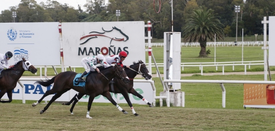 CLÁSICO ALVARO VARGAS GUILLEMETTE