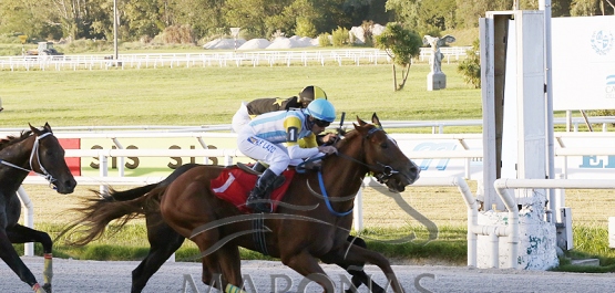 Viernes 7 de abril de 2023 - Hipódromo Nacional de Maroñas