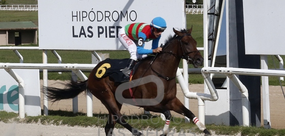 Viernes 14 de abril de 2023 - Hipódromo Las Piedras