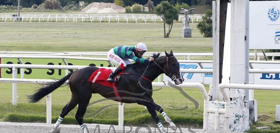 Domingo 15 de abril de 2023 - Hipódromo Nacional de Maroñas