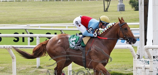 Domingo 23 de abril de 2023 - Hipódromo Nacional de Maroñas