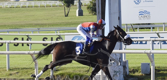 Viernes 28 de abril de 2023 - Hipódromo Las Piedras