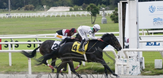 Domingo 7 de mayo de 2023 - Hipódromo Nacional de Maroñas