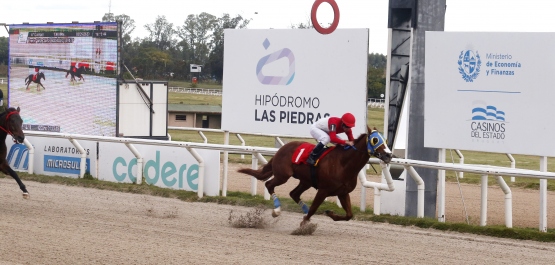 PREFERENCIAL "ARQ. CARLOS RODRÍGUEZ LARRETA"