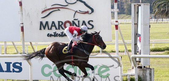 Sábado 13 de mayo de 2023 - Hipódromo Nacional de Maroñas