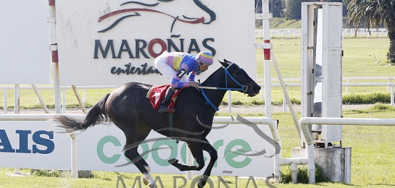 Domingo 14 de mayo de 2023 - Hipódromo Nacional de Maroñas