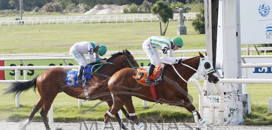 Sábado 20 de mayo de 2023 - Hipódromo Nacional de Maroñas