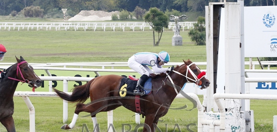 Domingo 21 de mayo de 2023 - Hipódromo Nacional de Maroñas