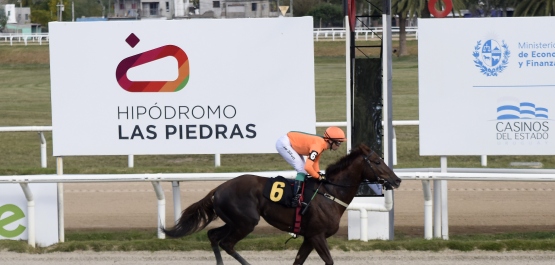 GRAN PREMIO UBALDO SERÉ