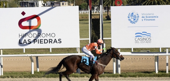 GRAN PREMIO OSAF