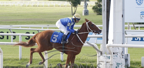 Viernes 26 de mayo de 2023 - Hipódromo Nacional de Maroñas