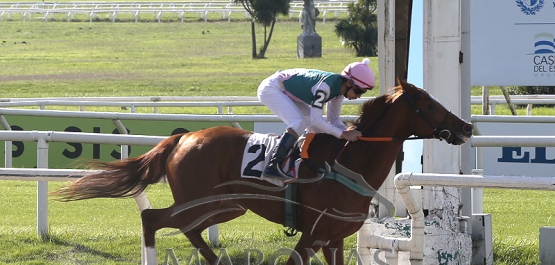 Domingo 28 de mayo de 2023 - Hipódromo Nacional de Maroñas