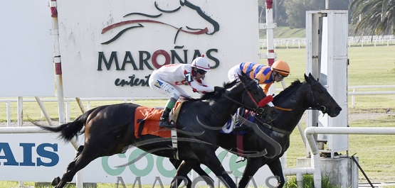 Sábado 3 de junio de 2023 - Hipódromo Nacional de Maroñas