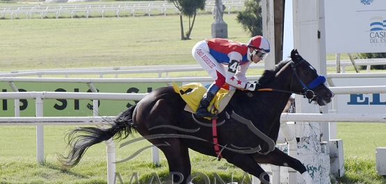 Domingo 4 de junio de 2023 - Hipódromo Nacional de Maroñas