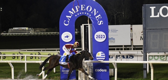 CLÁSICO CAMPEONES JUVENILE FILLIES - COPA INTENDENCIA DE MONTEVIDEO