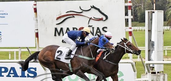 Domingo 11 de junio de 2023 - Hipódromo Nacional de Maroñas