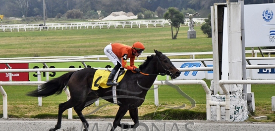 Sábado 24 de junio de 2023 - Hipódromo Nacional de Maroñas