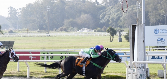 CLÁSICO REAPERTURA HIPÓDROMO NACIONAL DE MAROÑAS