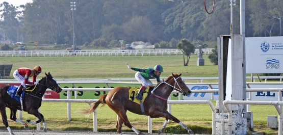 GRAN PREMIO CRITERIUM