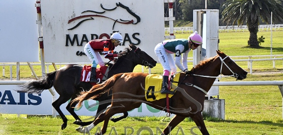 Domingo 2 de julio de 2023 - Hipódromo Nacional de Maroñas