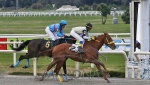 Reunión No.53 Hipódromo Nacional de Maroñas