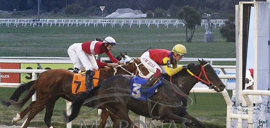 Sábado 15 de julio - Hipódromo Nacional de Maroñas