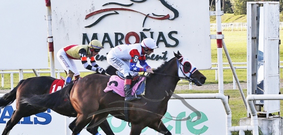 Domingo 16 de Julio - Hipódromo Nacional de Maroñas