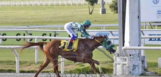 Viernes 28 de julio de 2023 - Hipódromo Nacional de Maroñas