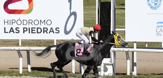 Sábado 29 de julio de 2023 - Hipódromo Las Piedras