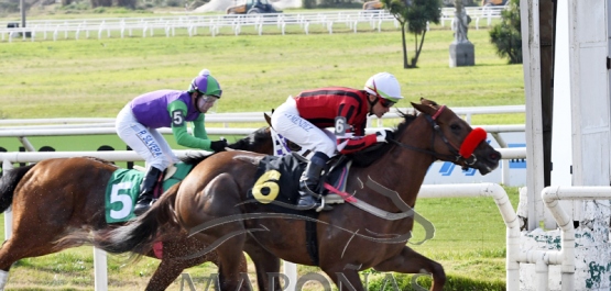 Domingo 30 de julio de 2023 - Hipódromo Nacional de Maroñas