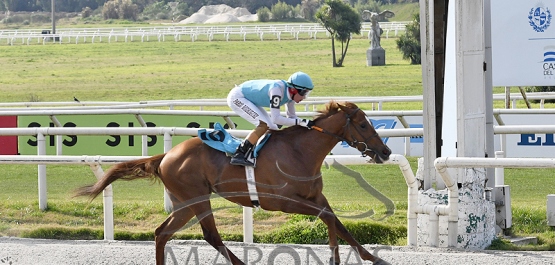 Domingo 6 de agosto de 2023 - Hipódromo Nacional de Maroñas