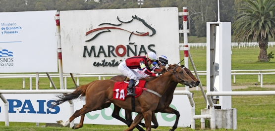 CLÁSICO HARAS DEL URUGUAY POTRANCAS