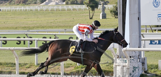 Sábado 12 de agosto de 2023 - Hipódromo Nacional de Maroñas