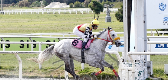 Domingo 13 de agosto de 2023 - Hipódromo Nacional de Maroñas