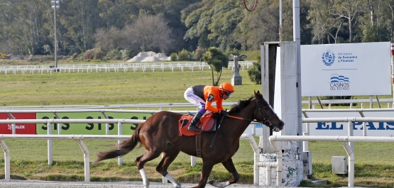 HANDICAP ESPECIAL BOINA ROJA