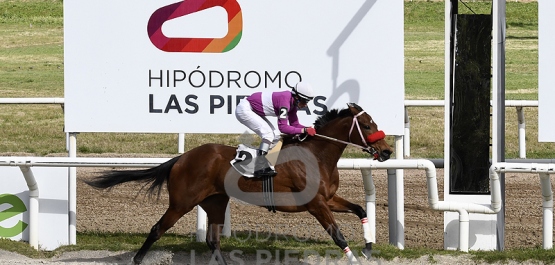 Sábado 19 de agosto de 2023 - Hipódromo Las Piedras