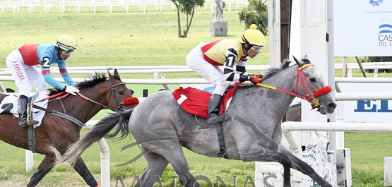 Domingo 20 de agosto de 2023 - Hipódromo Nacional de Maroñas