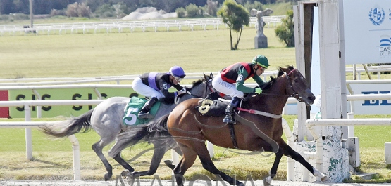 Domingo 27 de agosto de 2023 - Hipódromo Nacional de Maroñas