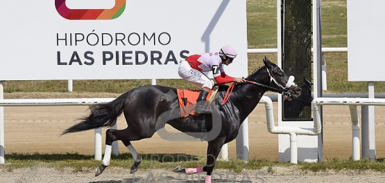 Viernes 1° de setiembre de 2023 - Hipódromo Las Piedras