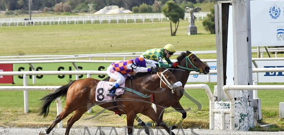 Sábado 2 de setiembre de 2023 - Hipódromo Nacional de Maroñas