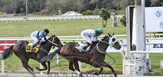 Sábado 9 de setiembre de 2023 - Hipódromo Nacional de Maroñas