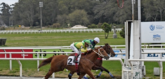 HANDICAP ESPECIAL ANTONIO ARAÚJO