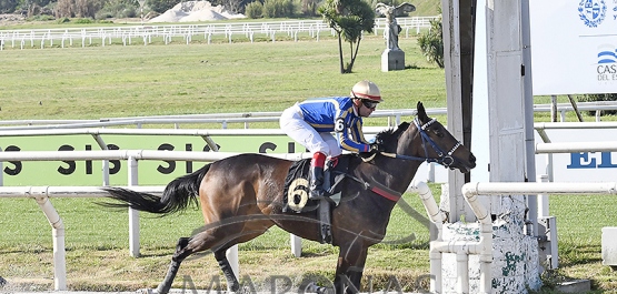 Sábado 16 de septiembre de 2023 - Hipódromo Nacional de Maroñas