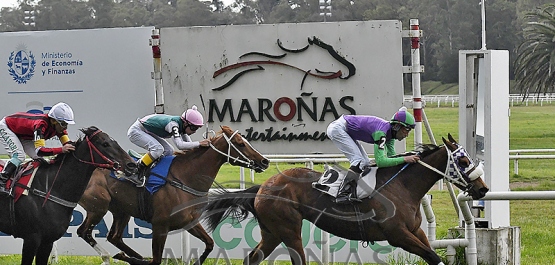 Domingo 17 de septiembre de 2023 - Hipódromo Nacional de Maroñas