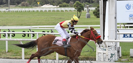 Domingo 24 de setiembre de 2023 - Hipódromo Nacional de Maroñas