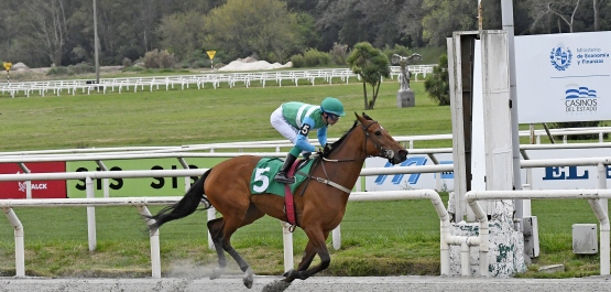 CLÁSICO STUD BOOK URUGUAYO