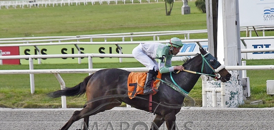 Viernes 29 de setiembre de 2023 - Hipódromo Nacional de Maroñas